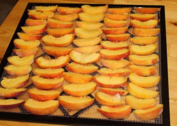 Полезные свойства сушеного персика и самостоятельное приготовление вкусного сухофрукта